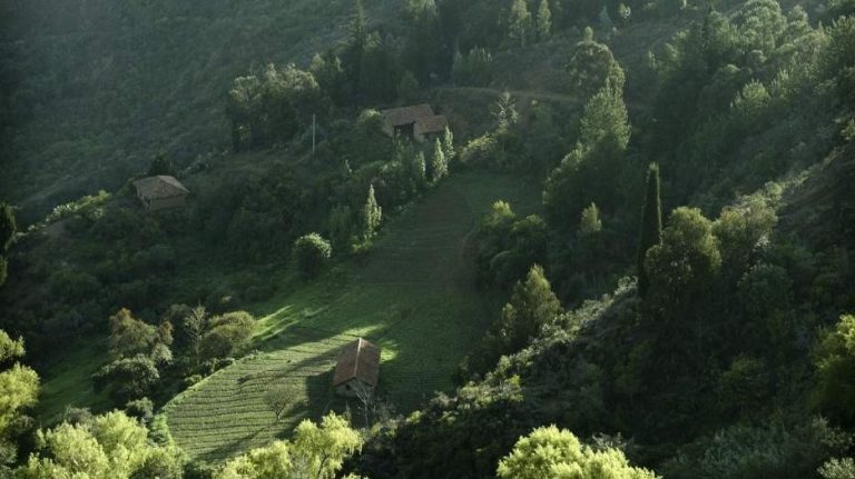 Fotoarri 13 768X431 1