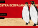 Ecofalante