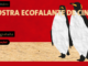 Ecofalante