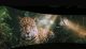 Amazonia Imersiva Narrativas Indigenas 1