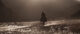 Quispe 2 1140X481 1